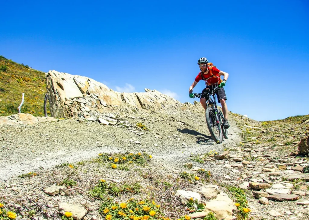 Mountain biker riding trail