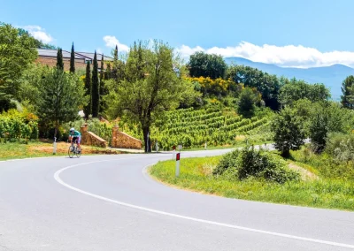 cycling through vineyards