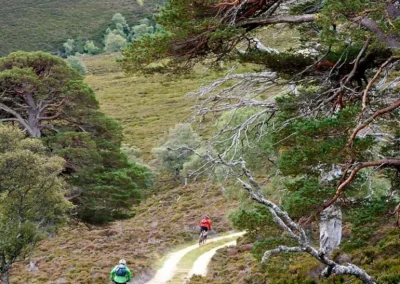 mountain bikers riding dirt roads in Scotland