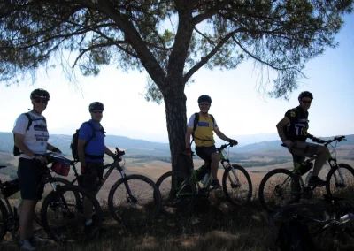 cyclists stopped under shade of tree in Tuscany