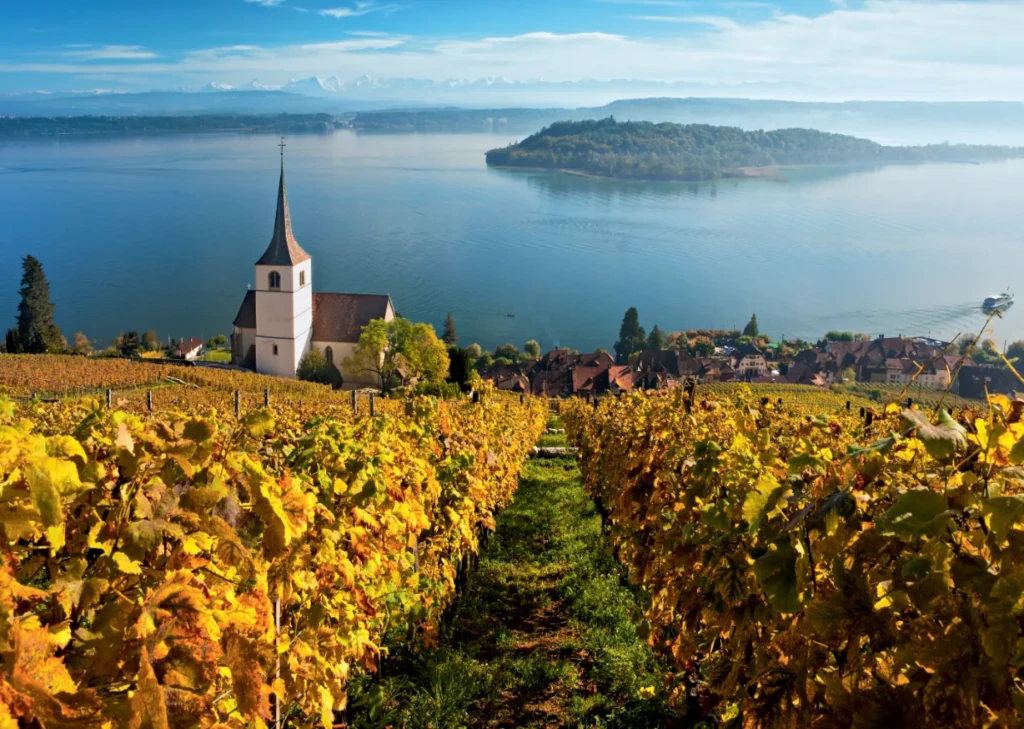 Trans-Jura expedition view of vineyard in Switzerland